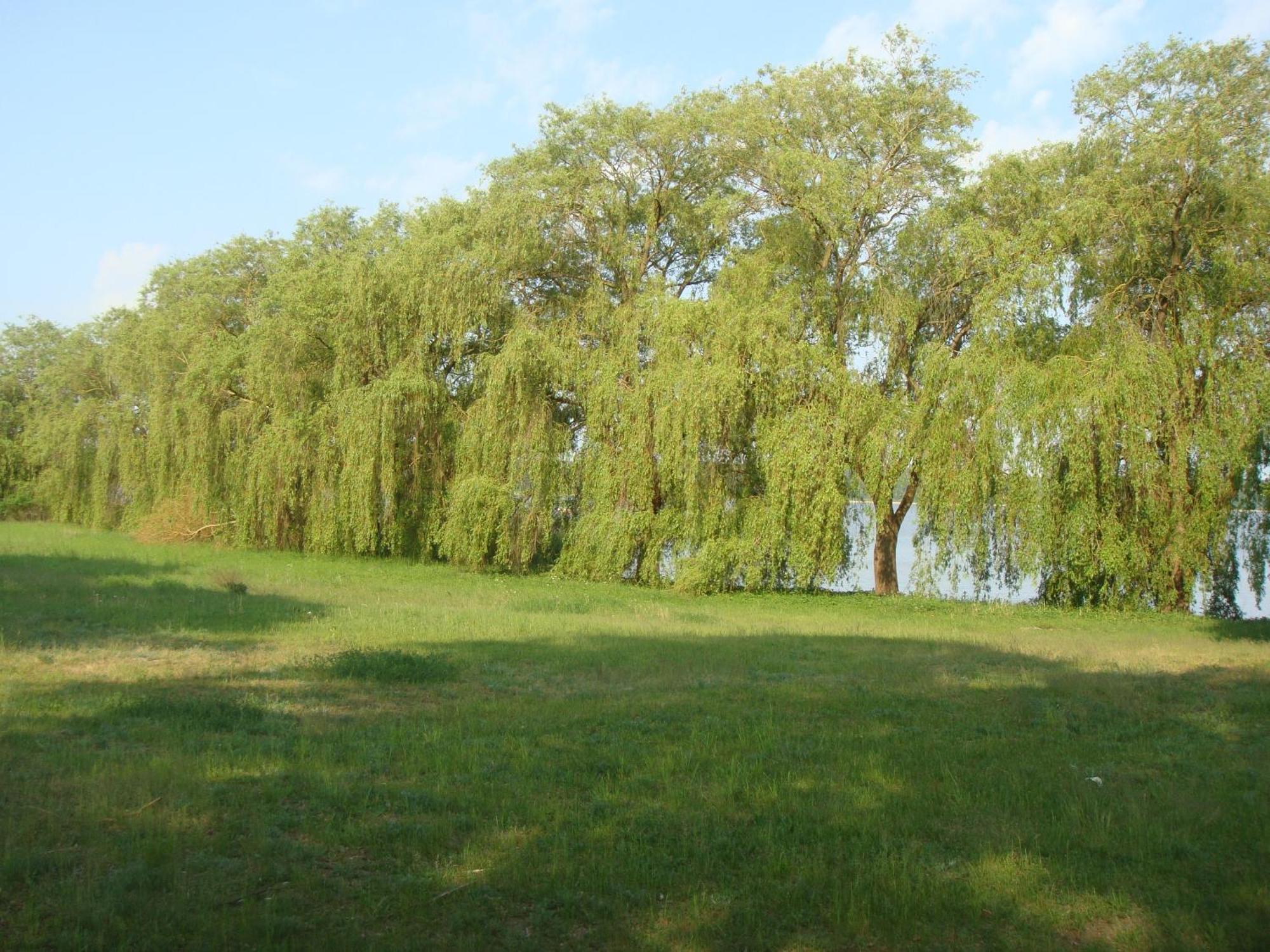 Hotel Am Wariner See Екстер'єр фото